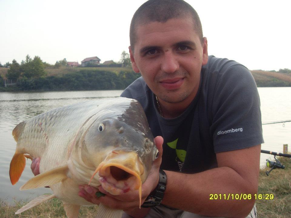 Crapturi - 391368106683219447071923288810n.jpg